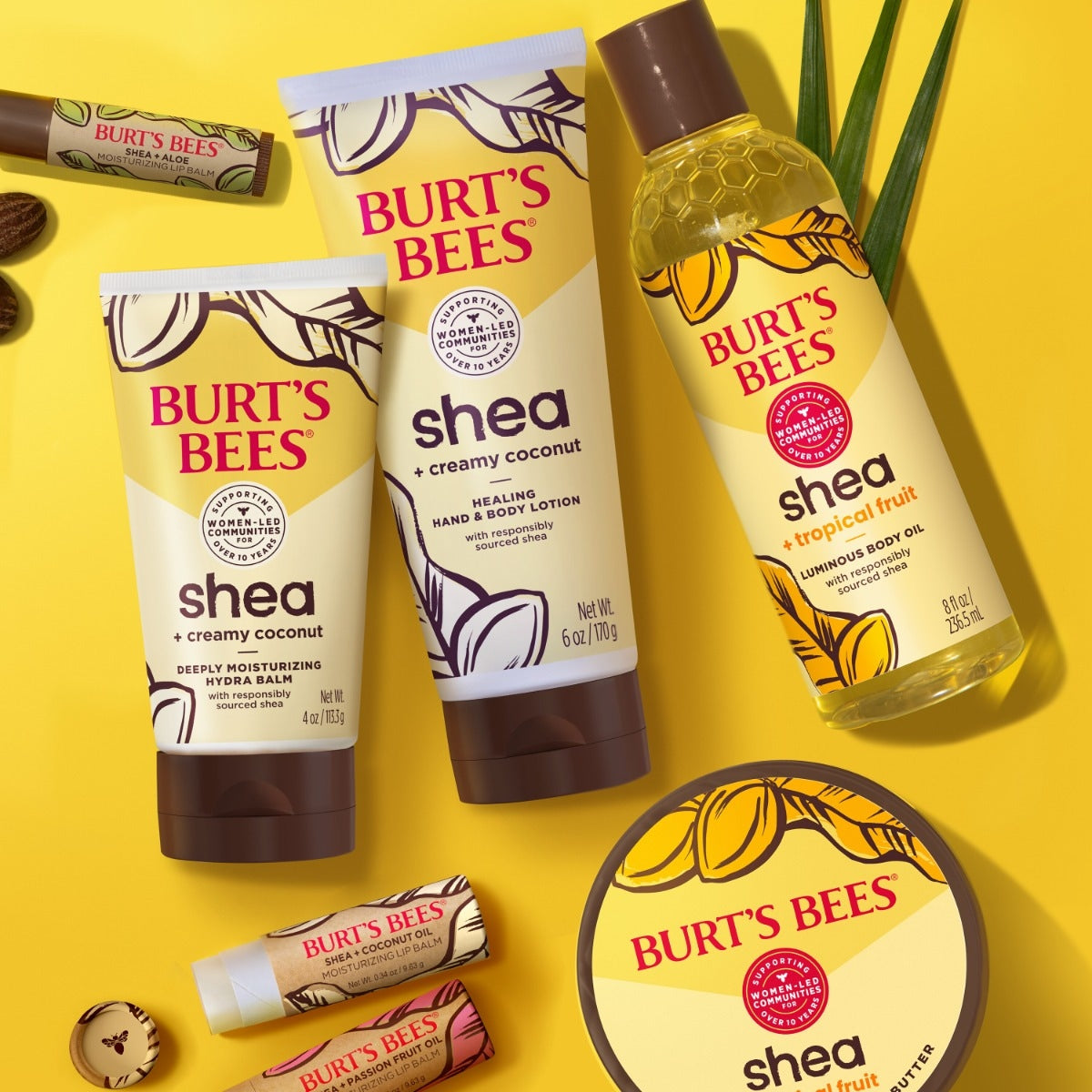 Shea + Cocoa Butter Moisturizing Lip Balm